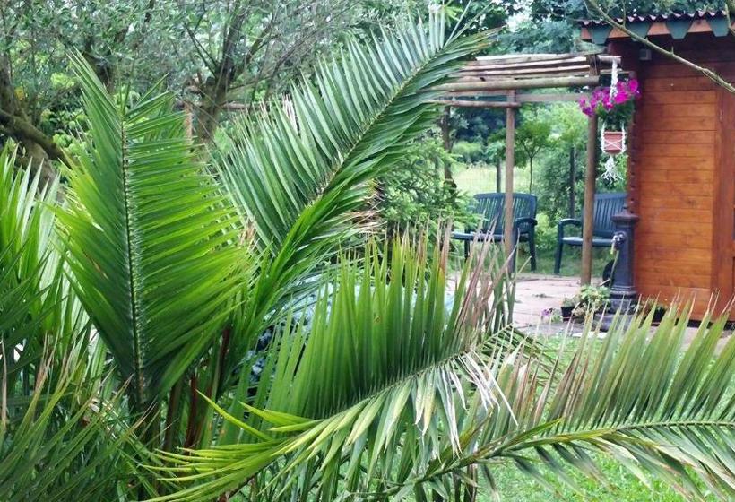 צימר Venice Airport Room