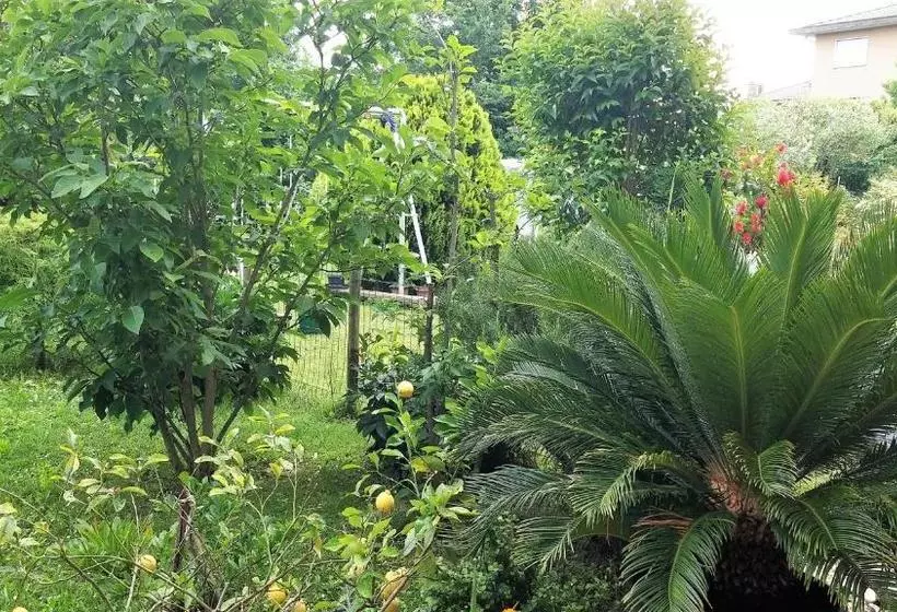 ベッドアンドブレックファースト Venice Airport Room