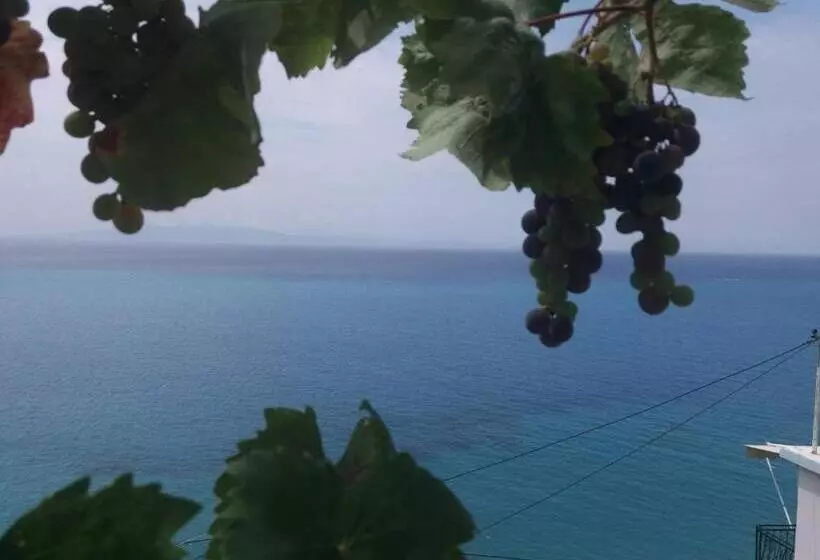 پانسیون Blue View
