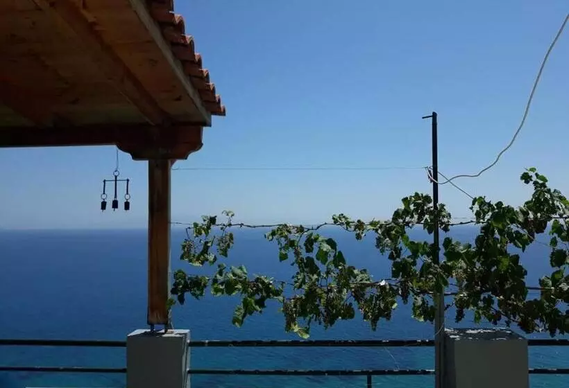 پانسیون Blue View