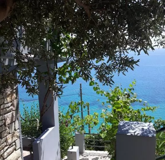 پانسیون Blue View
