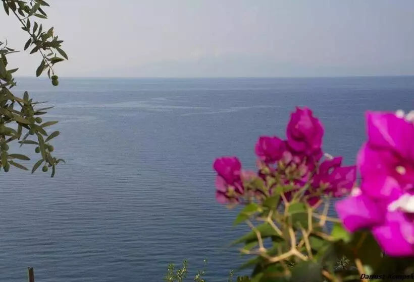 پانسیون Blue View