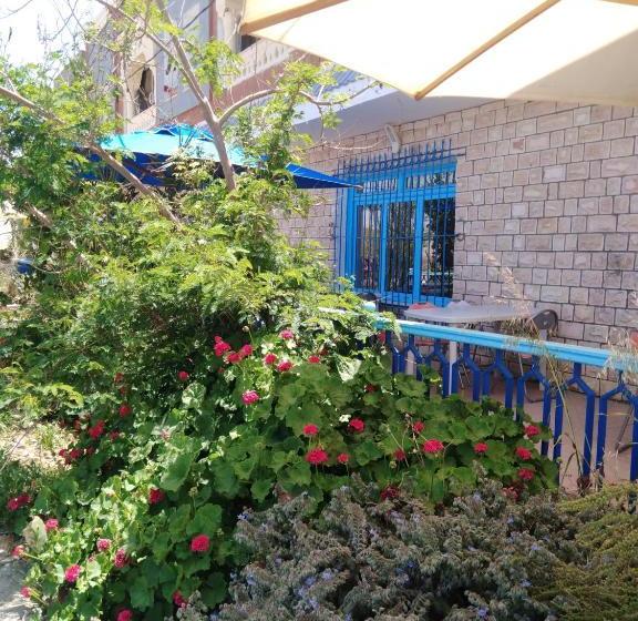 ペンション L'hirondelle De Kelibia : Chez Amou