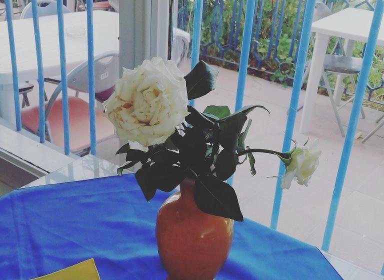 ペンション L'hirondelle De Kelibia : Chez Amou