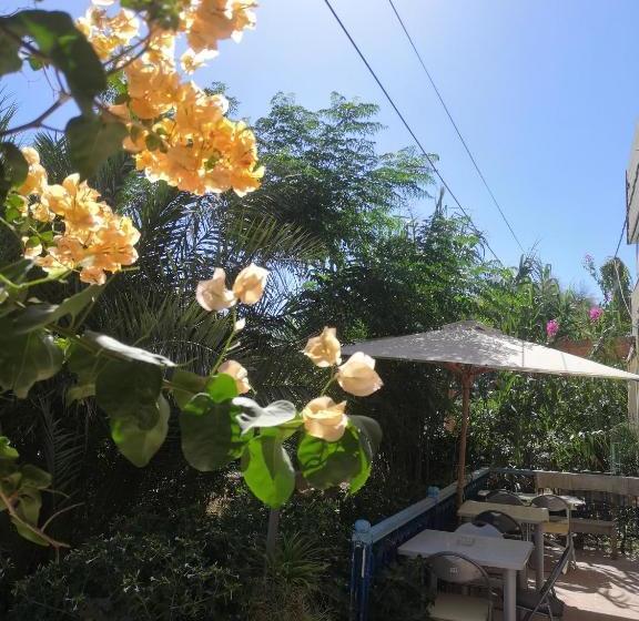 ペンション L'hirondelle De Kelibia : Chez Amou