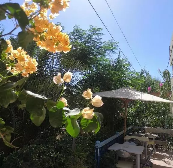 Majatalo L'hirondelle De Kelibia : Chez Amou