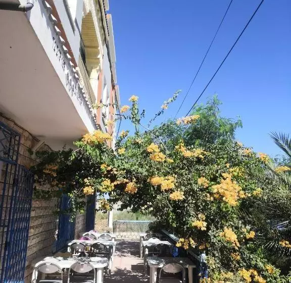 Majatalo L'hirondelle De Kelibia : Chez Amou