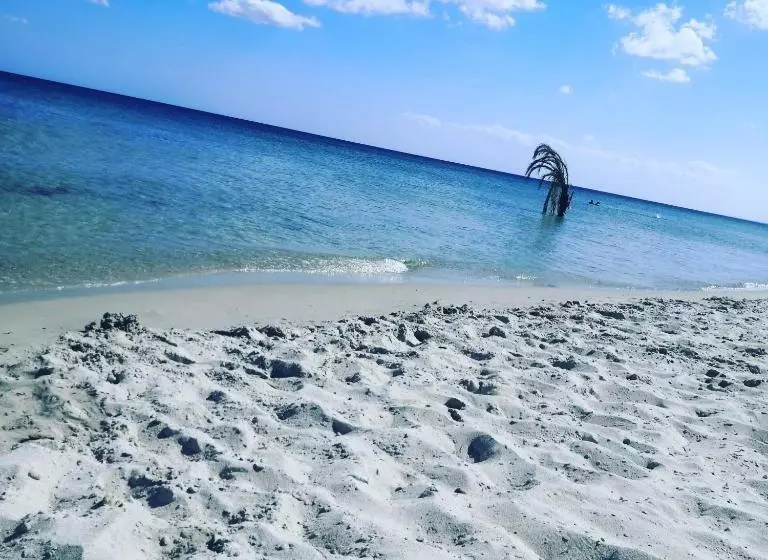 Majatalo L'hirondelle De Kelibia : Chez Amou