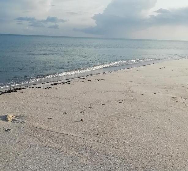 ペンション L'hirondelle De Kelibia : Chez Amou