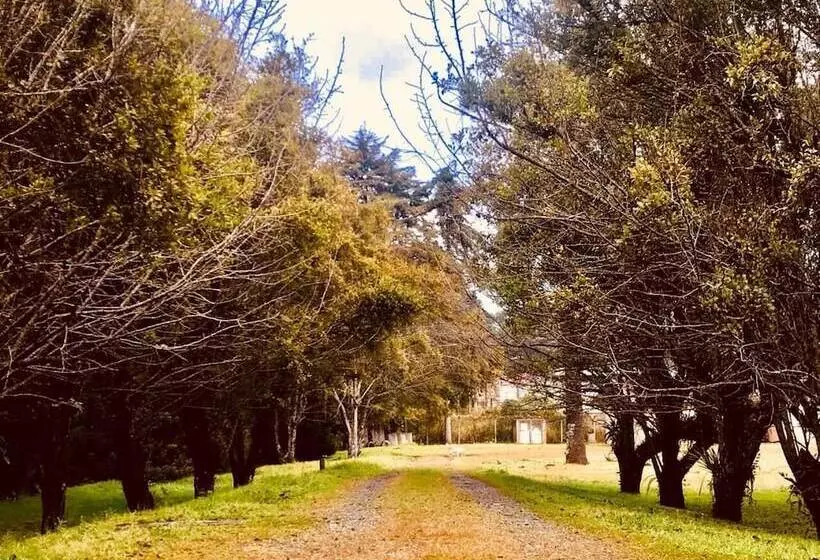ホテル Platanus