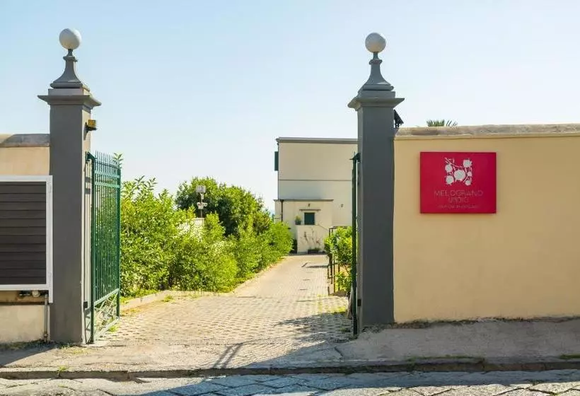 Melograno Undici