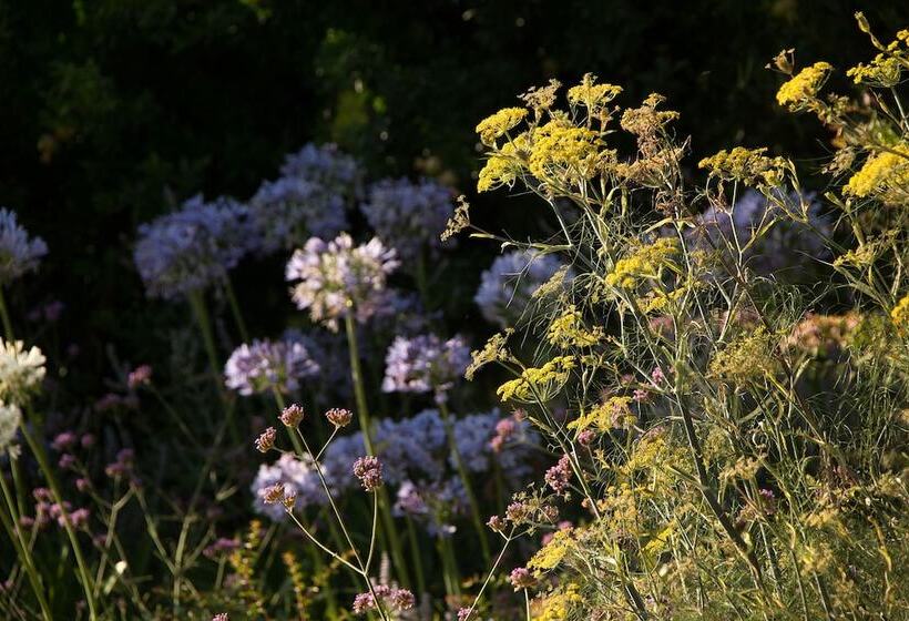 بنسيون Maison D Hôtes Le Pré Gourmand Adults Only