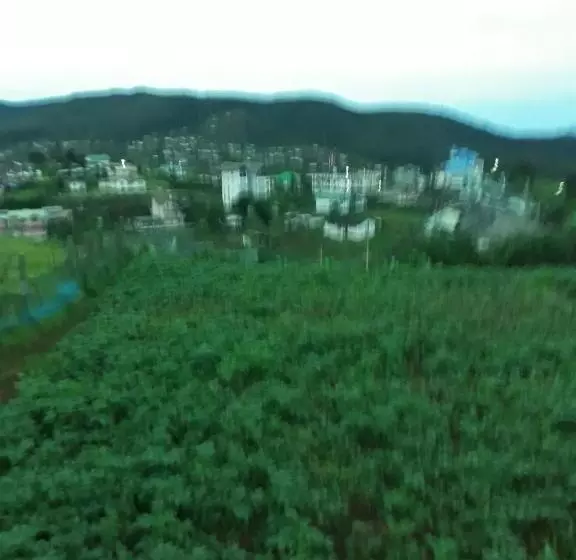 پانسیون Rainyfreindz