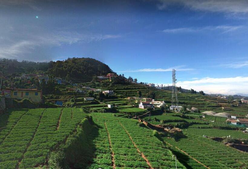 Pension (Hôtel basse catégorie) Sunset Valley Holiday Inn