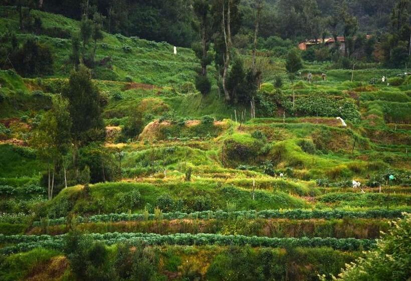 Pension (Hôtel basse catégorie) Sunset Valley Holiday Inn