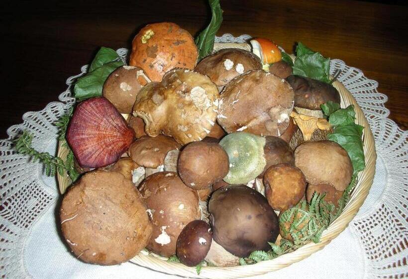 פנסיון Villa Delle Rose   Hotel Paradiso