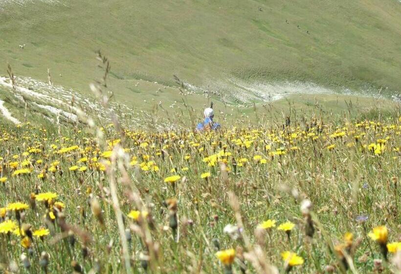 פנסיון Villa Delle Rose   Hotel Paradiso