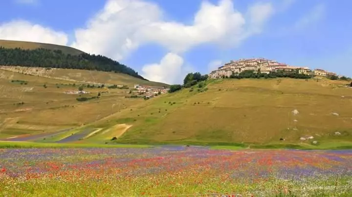 پانسیون Villa Delle Rose   Hotel Paradiso