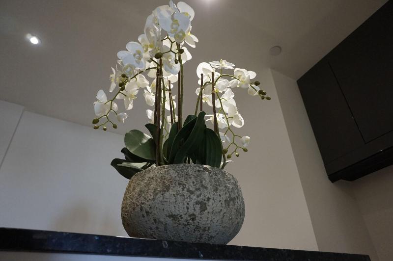 בית מלון כפרי Halvard