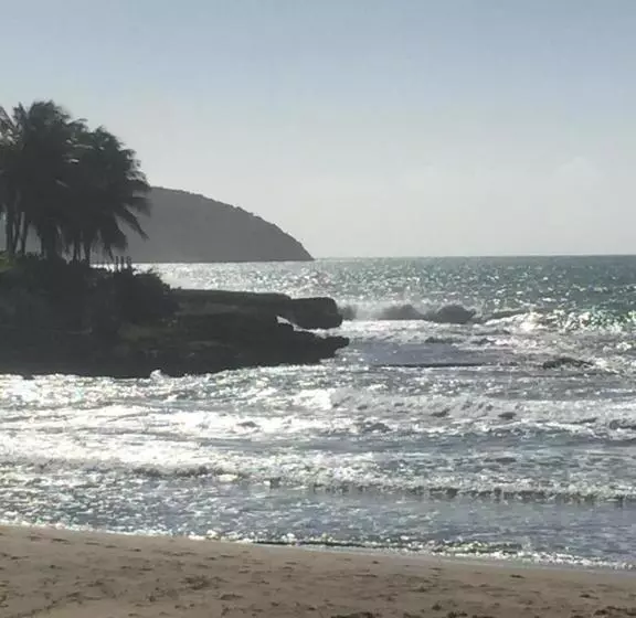 پانسیون Taino Cove