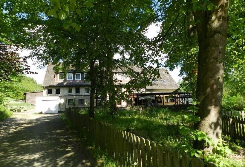 فندق صغير Gästehaus Winkelsmühle