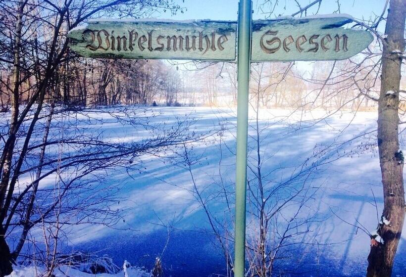 فندق صغير Gästehaus Winkelsmühle