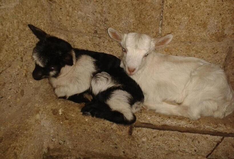 پانسیون Agrotourism Himara