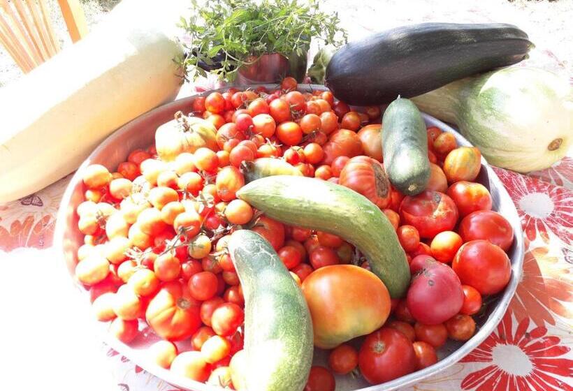 پانسیون Agrotourism Himara