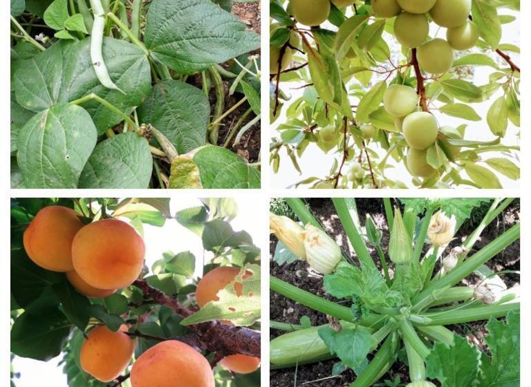 پانسیون Agrotourism Himara