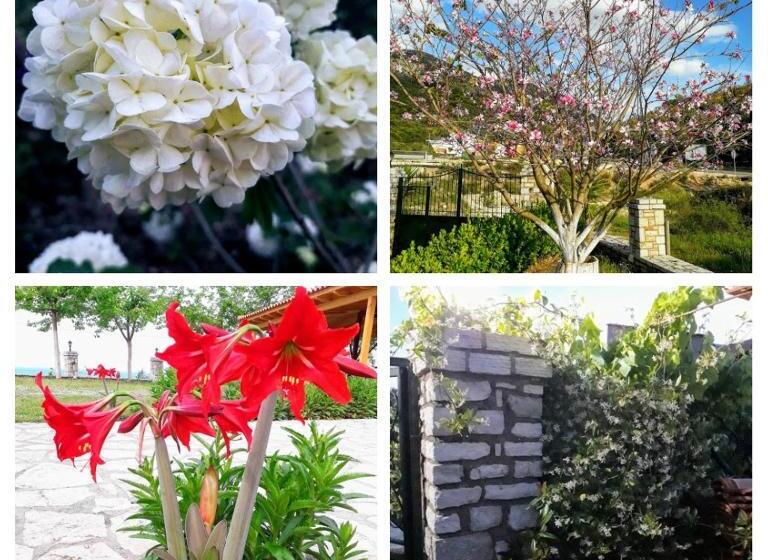 پانسیون Agrotourism Himara