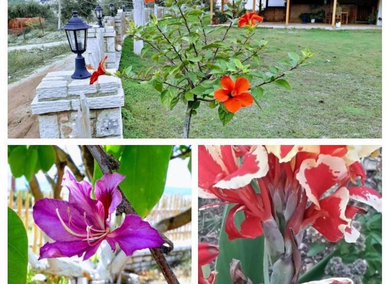 پانسیون Agrotourism Himara