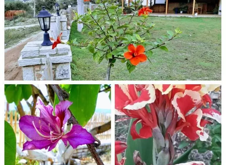پانسیون Agrotourism Himara