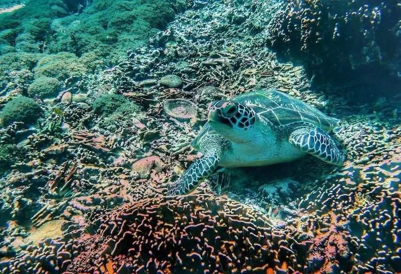 ペンション Hoomea Private Pool Villas