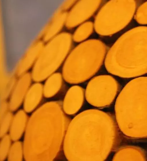 Retkeilymaja Gästehaus Chaplin