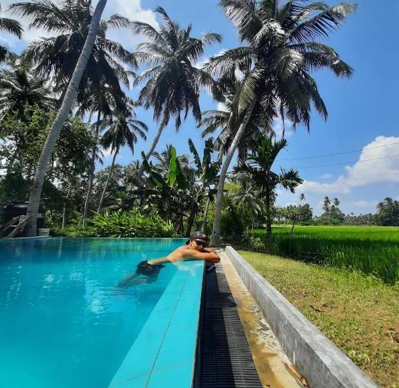 فندق Rice Rice Villas