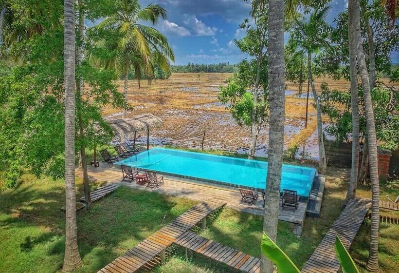 فندق Rice Rice Villas