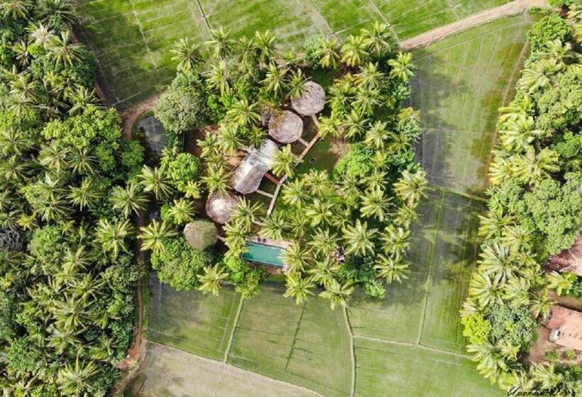 فندق Rice Rice Villas