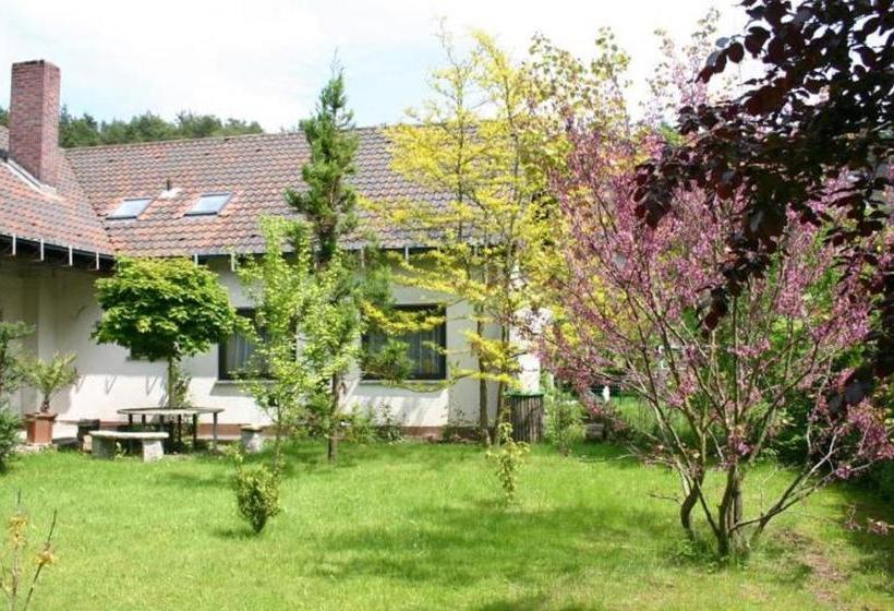 Pension Haus Zum Schlehenberg