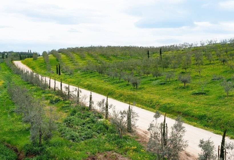 Отель Il Podere Di Marfisa