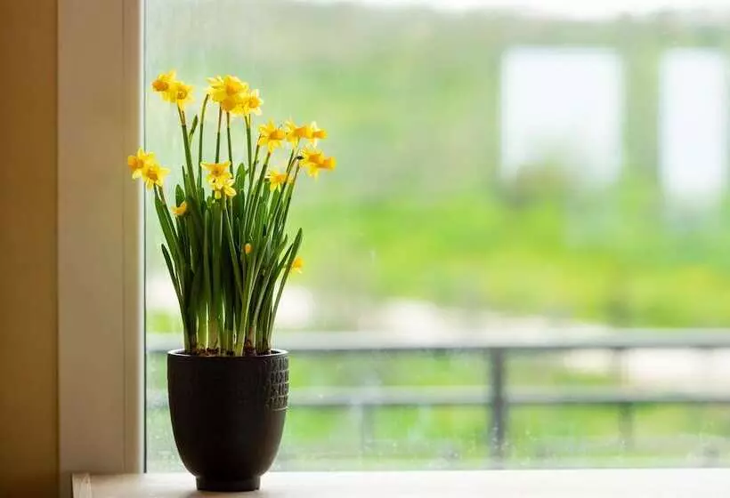 Hotelli Il Podere Di Marfisa