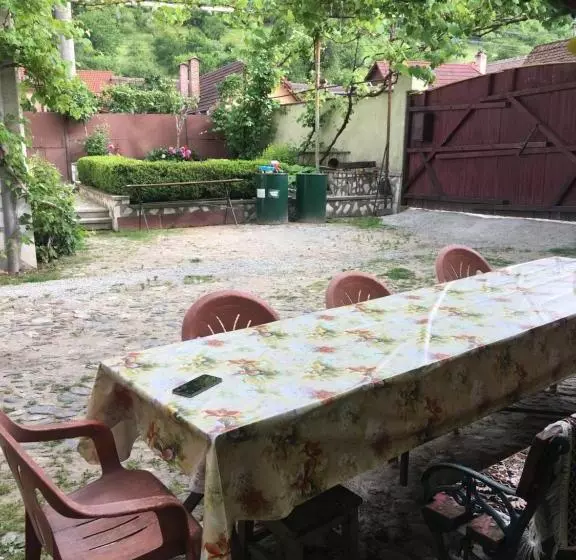 Pensiunea Adelaida