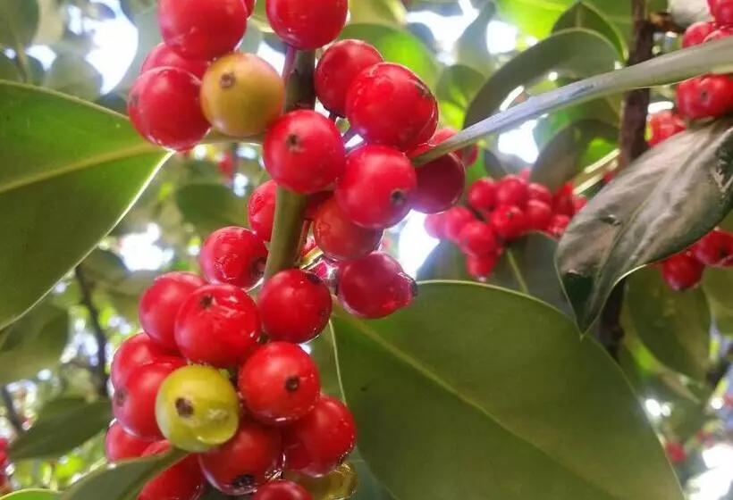 Hotelli Albergo La Valle