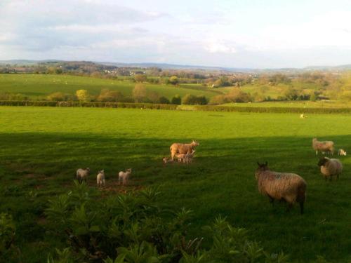 The Draen Bed And Breakfast