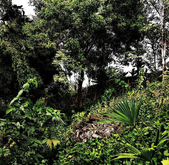 پانسیون Akainoie