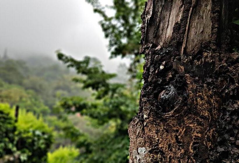 پانسیون Akainoie