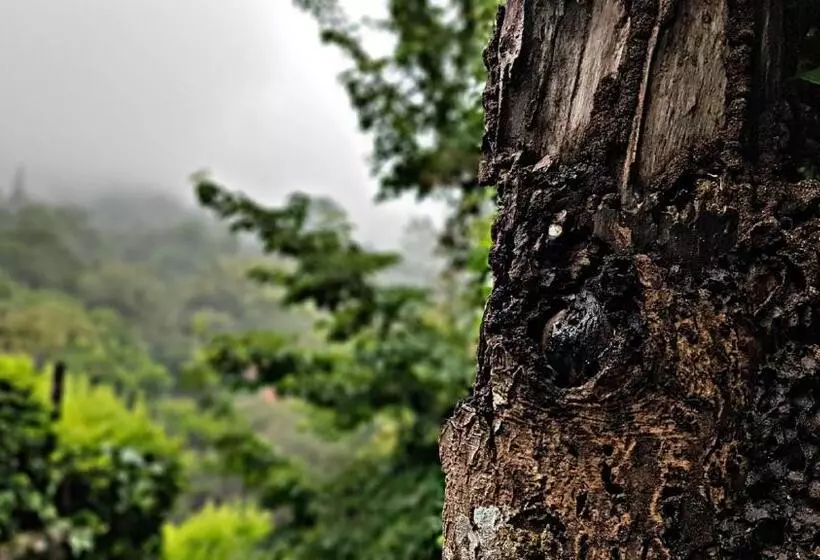 ペンション Akainoie