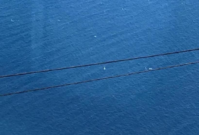 膳宿费 Guesthouse Theview