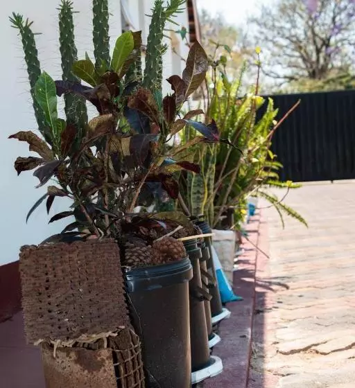 پانسیون Kwampofu Guest House