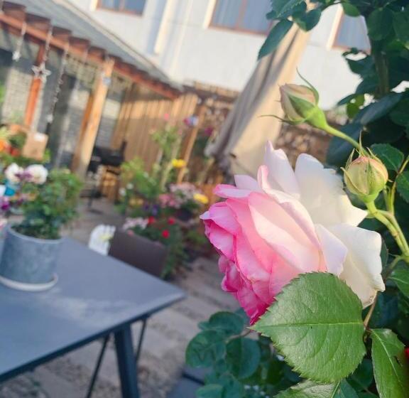 Пансион Suzhou Jade Snow Lodge