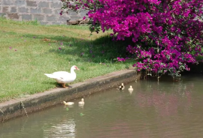 Retkeilymaja Repouso Do Tchê